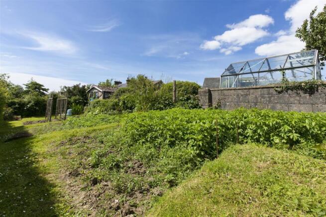 Vegetable Garden