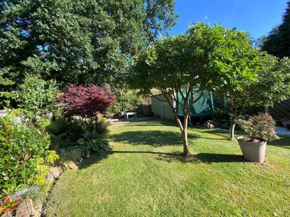 garden.JPG