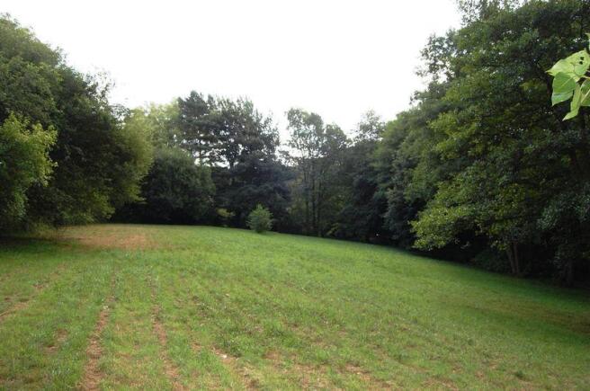 Field