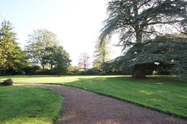 Communal Gardens