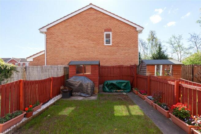 Photos