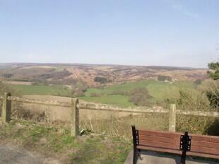 Surprise View