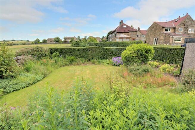 Garden at Back