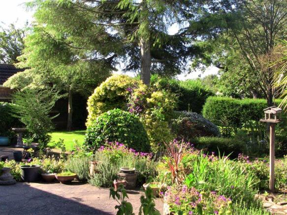 Rear garden vi...