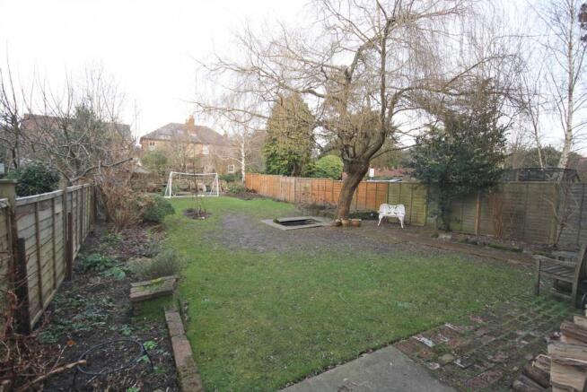 Garden shot