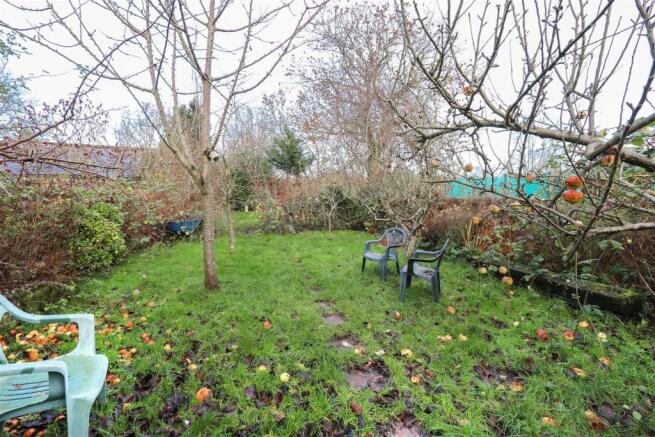Garden2.jpg