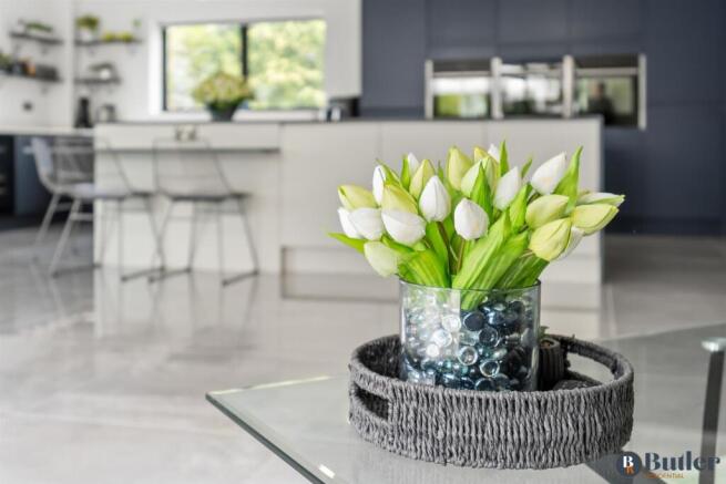 Entertaining Area