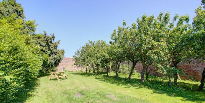 Orchard