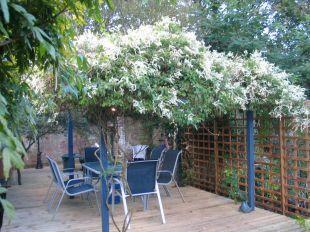 DECKING AREA