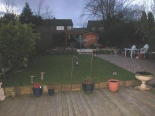 garden 1