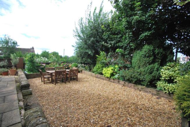 74 rob out2.JPG