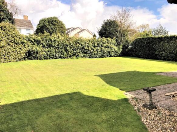 Back Garden