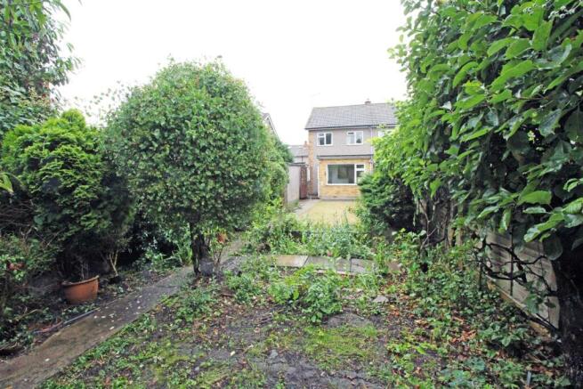 IMG_0191 garden rear.jpg