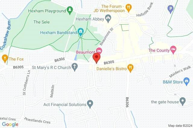 Google Maps Image
