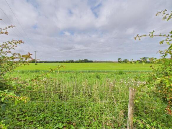Field Views
