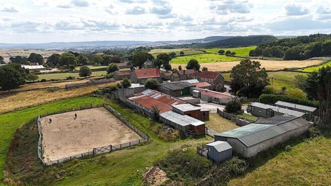 view back to house.jpg