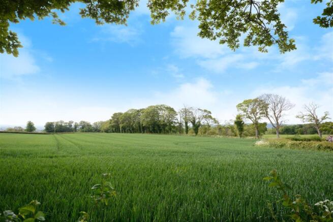 Open Fields Close By