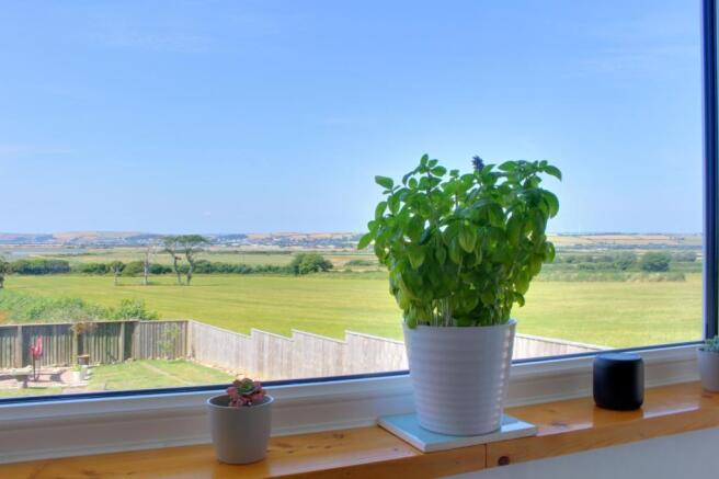 View from Property at Back