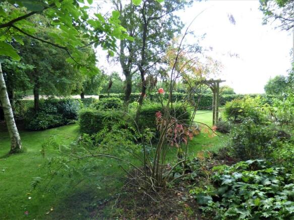 rear gardens