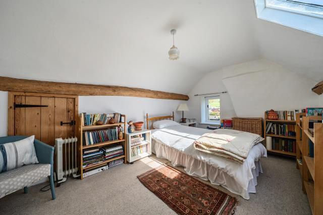 photos