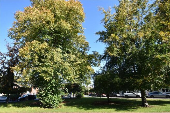 View West Green
