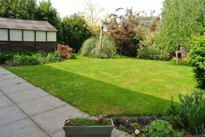 Rear garden