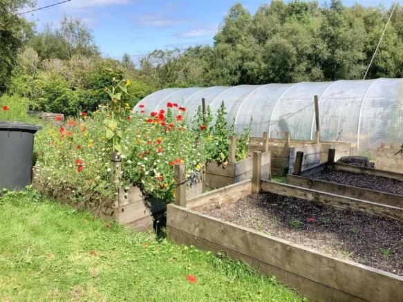 Polytunnel