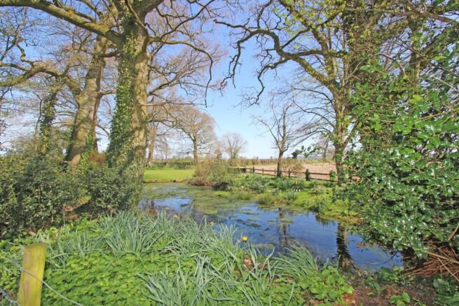 Pond
