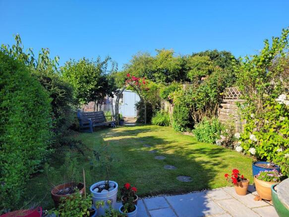 Rear Garden (in the summer)