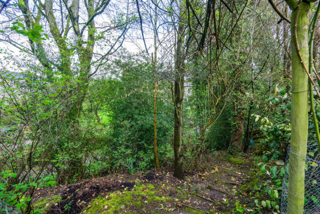 Wooded area leadi...