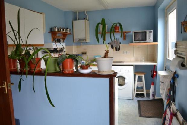 Photo 7