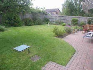 Garden 1