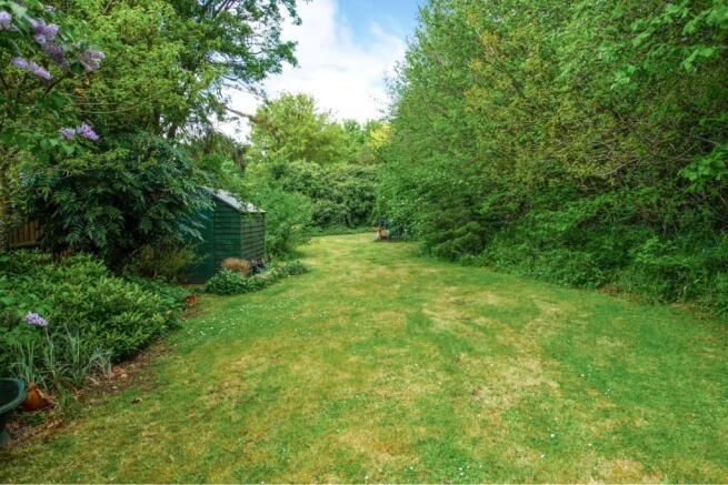 Mature Garden