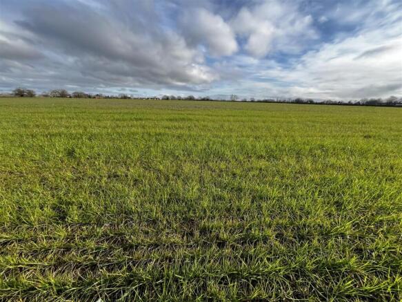 Photo 14-03-2025, 9 21 16 AM.jpg