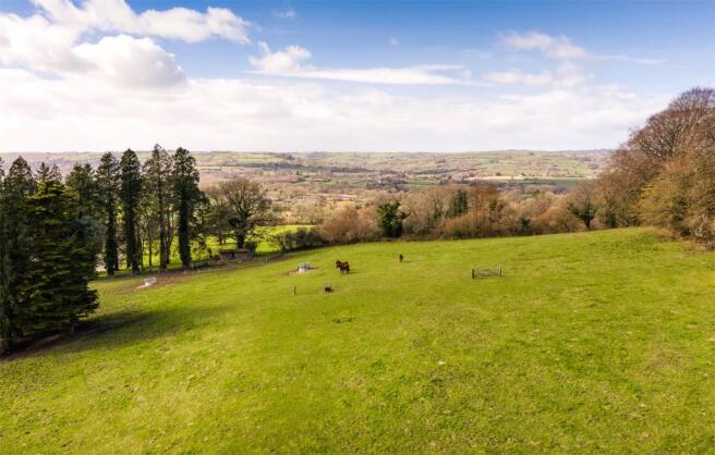 Land & Views