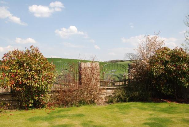 Side Garden