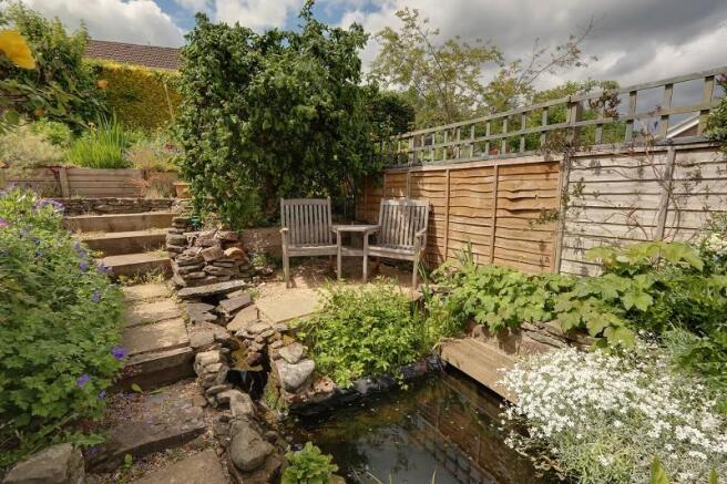 Pond