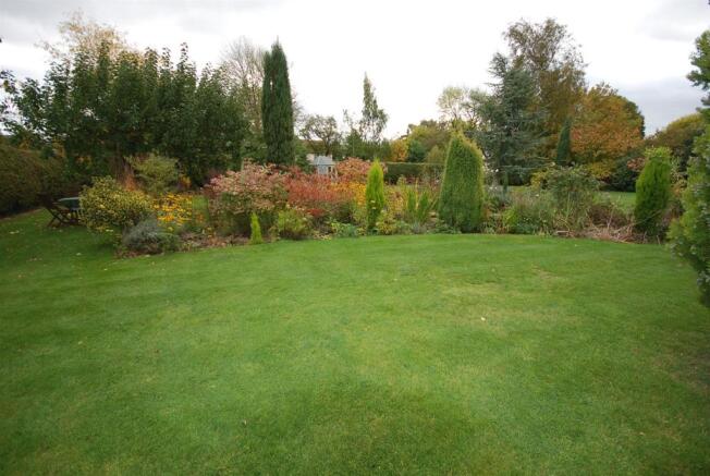 garden 4.jpg