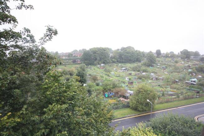 Outlook From Master Bedroom