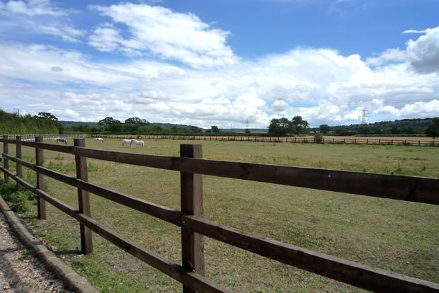 Paddocks