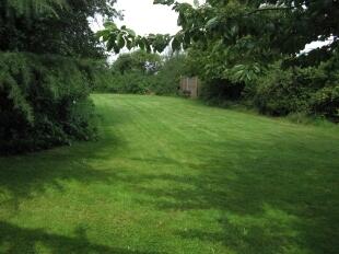 Rear Garden View 4