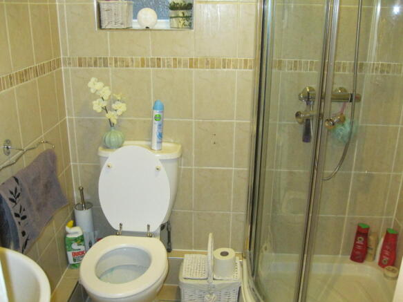 Ground Floor Shower