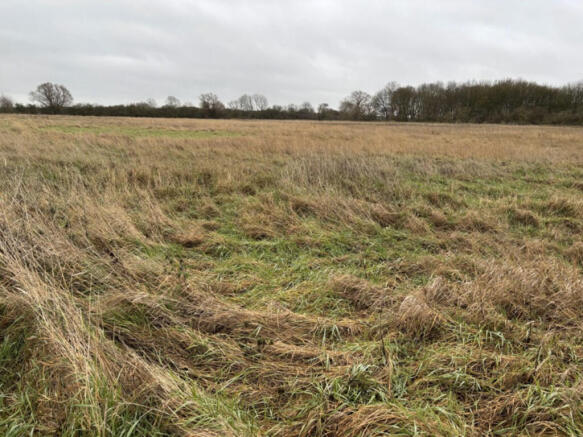 Screenshot 2026-0...