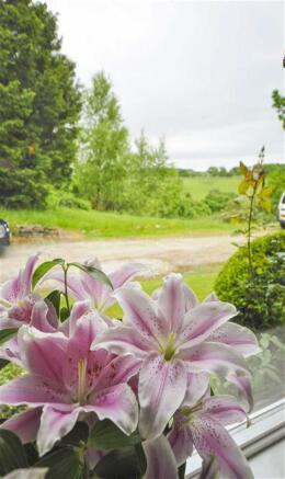 Photo 32