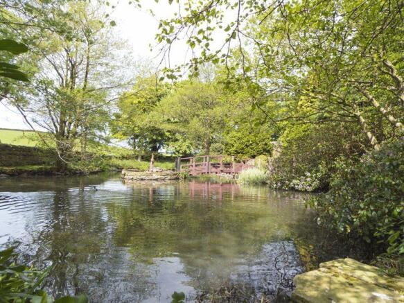 Garden & pond