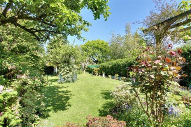 Garden at Back