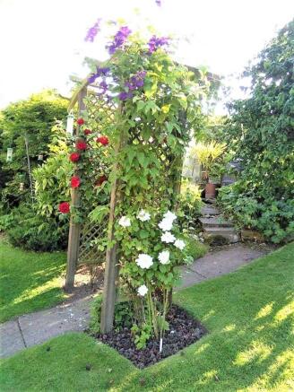 Garden In The Summer