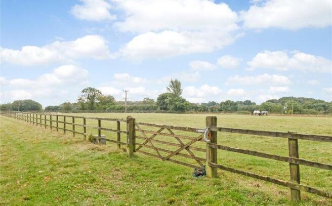 Paddocks