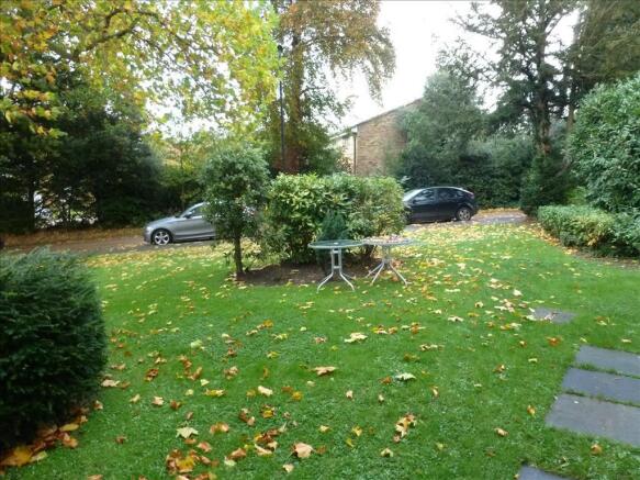 Photo 11