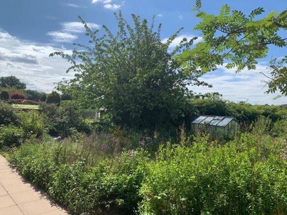 Garden.jpg
